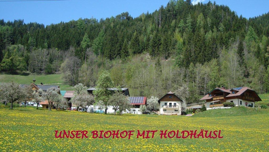 Holdhaeusl Lejlighed Schladming Værelse billede